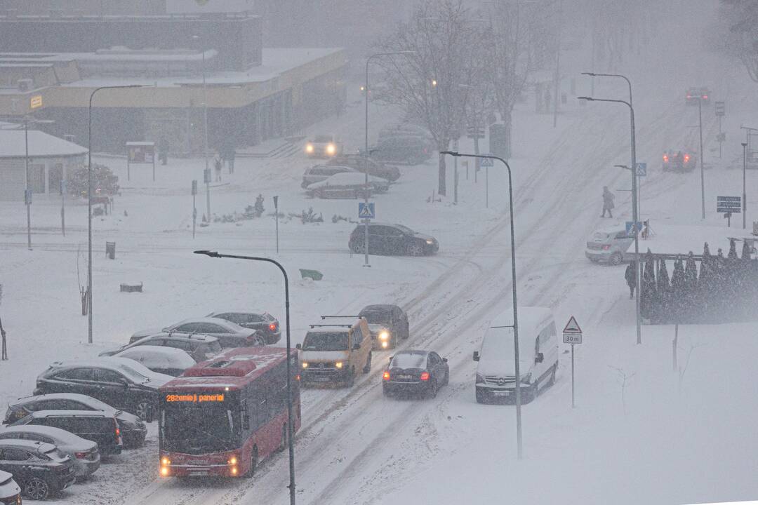 Vilniuje įsismarkauja pūga