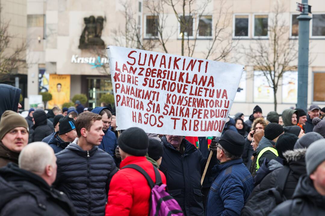 Vilniuje prasidėjo žemdirbių mitingas