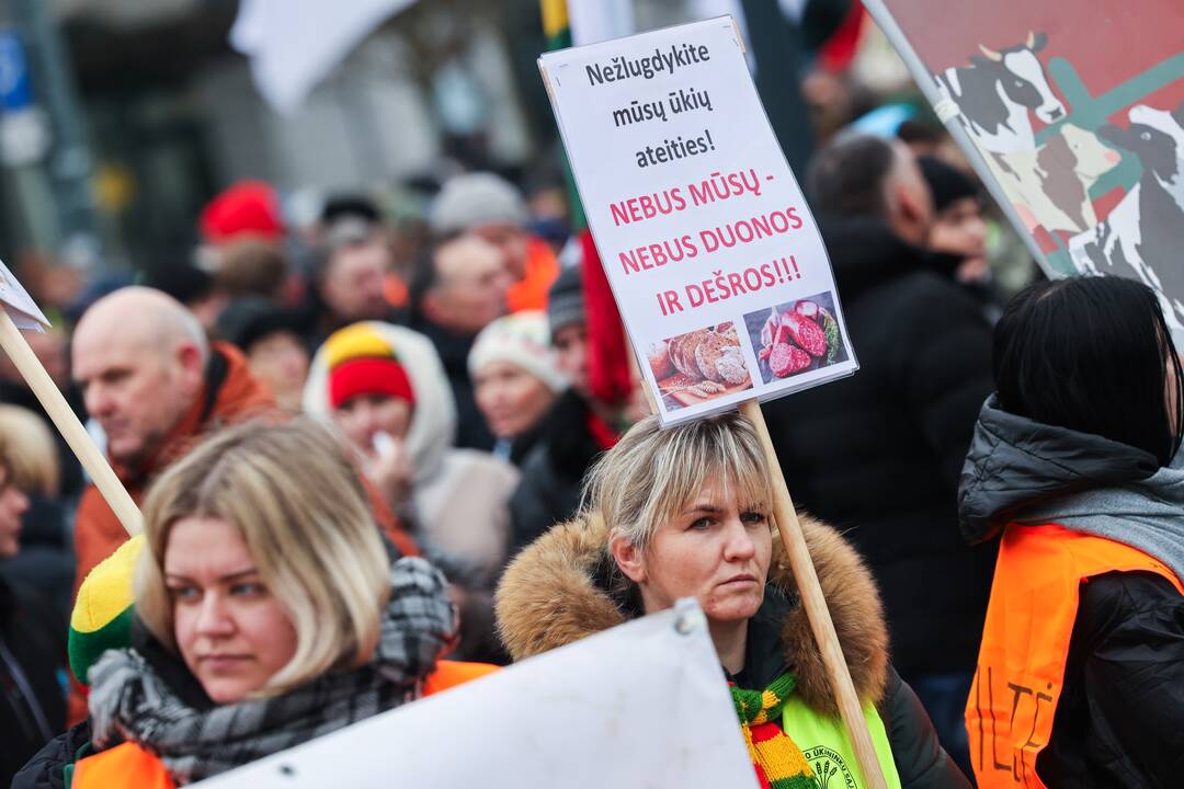 Vilniuje prasidėjo žemdirbių mitingas