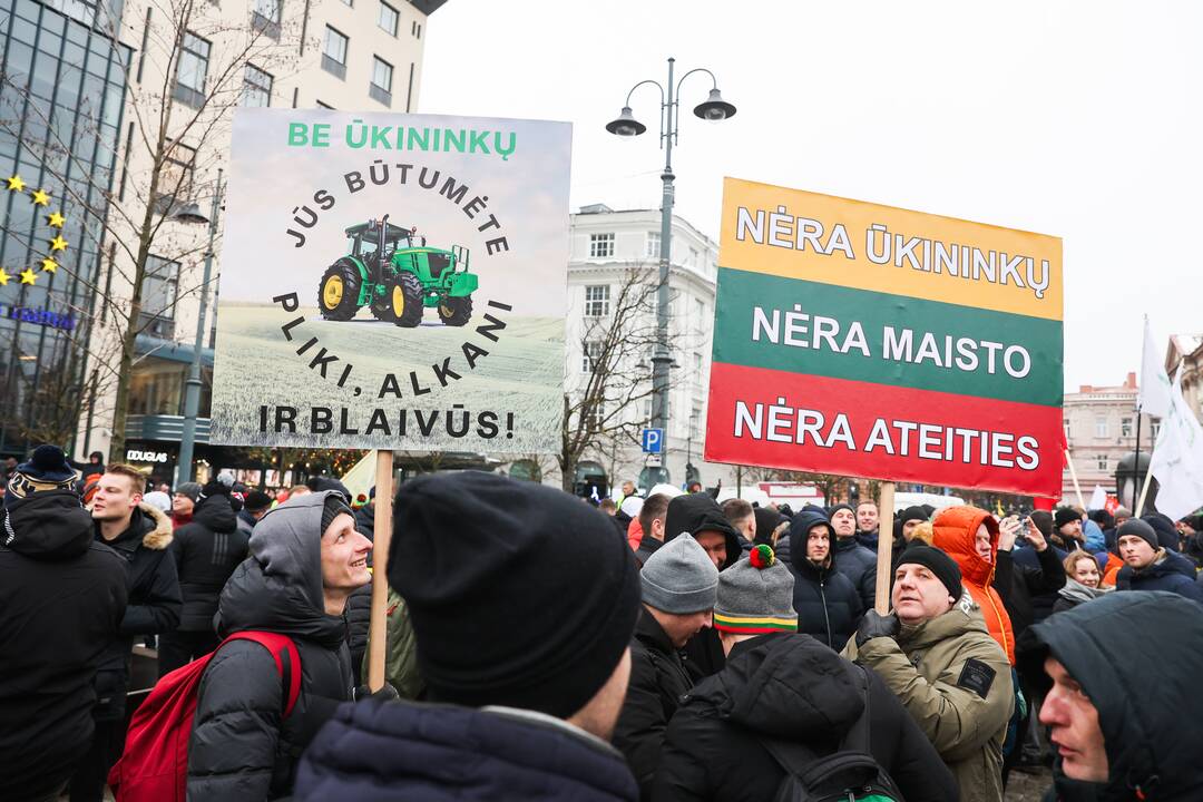 Vilniuje prasidėjo žemdirbių mitingas
