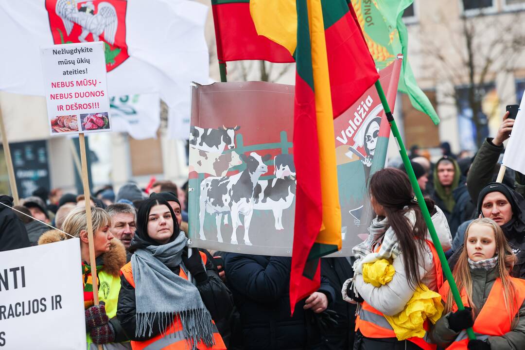 Vilniuje prasidėjo žemdirbių mitingas