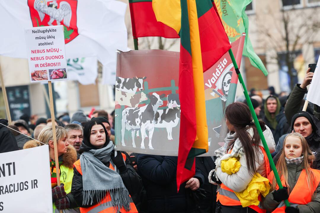 Vilniuje prasidėjo žemdirbių mitingas