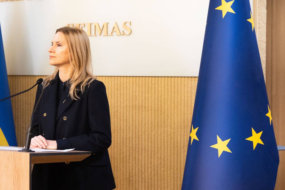 Seimo pirmininkės ir Ukrainos vicepirmininkės spaudos konferencija