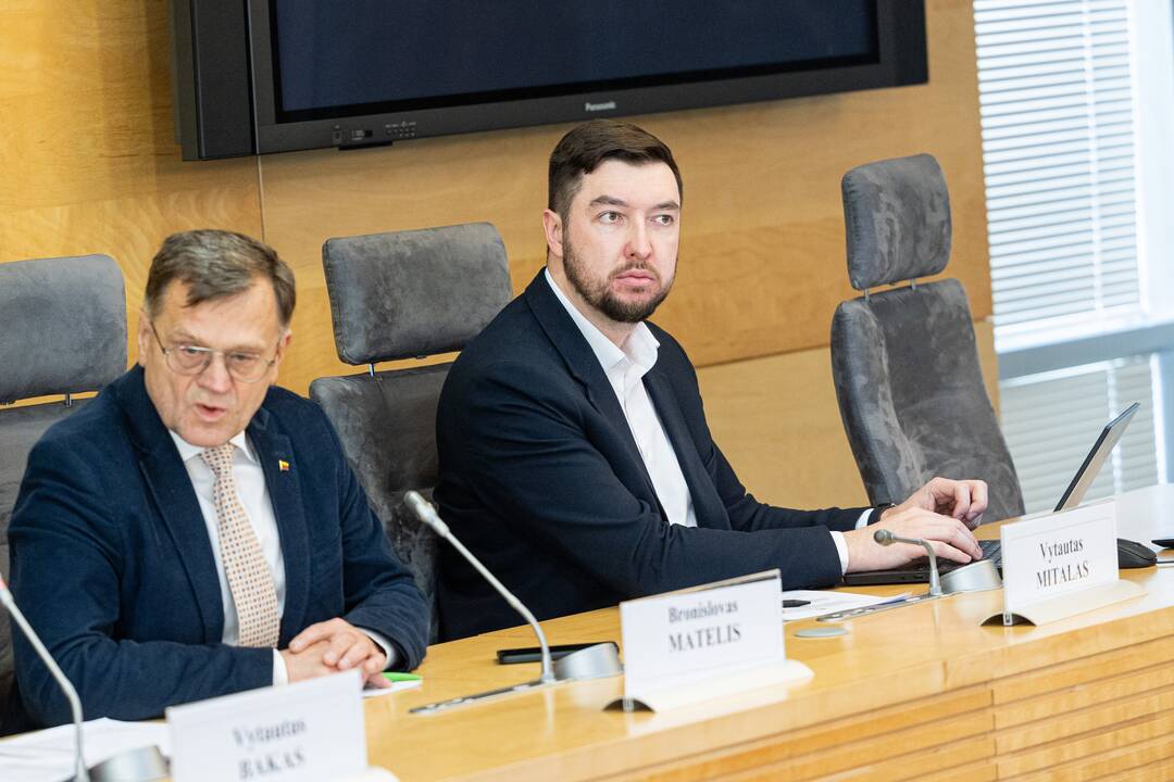 Seimo komisijos dėl VSD pranešėjo informacijos spaudos konferencija