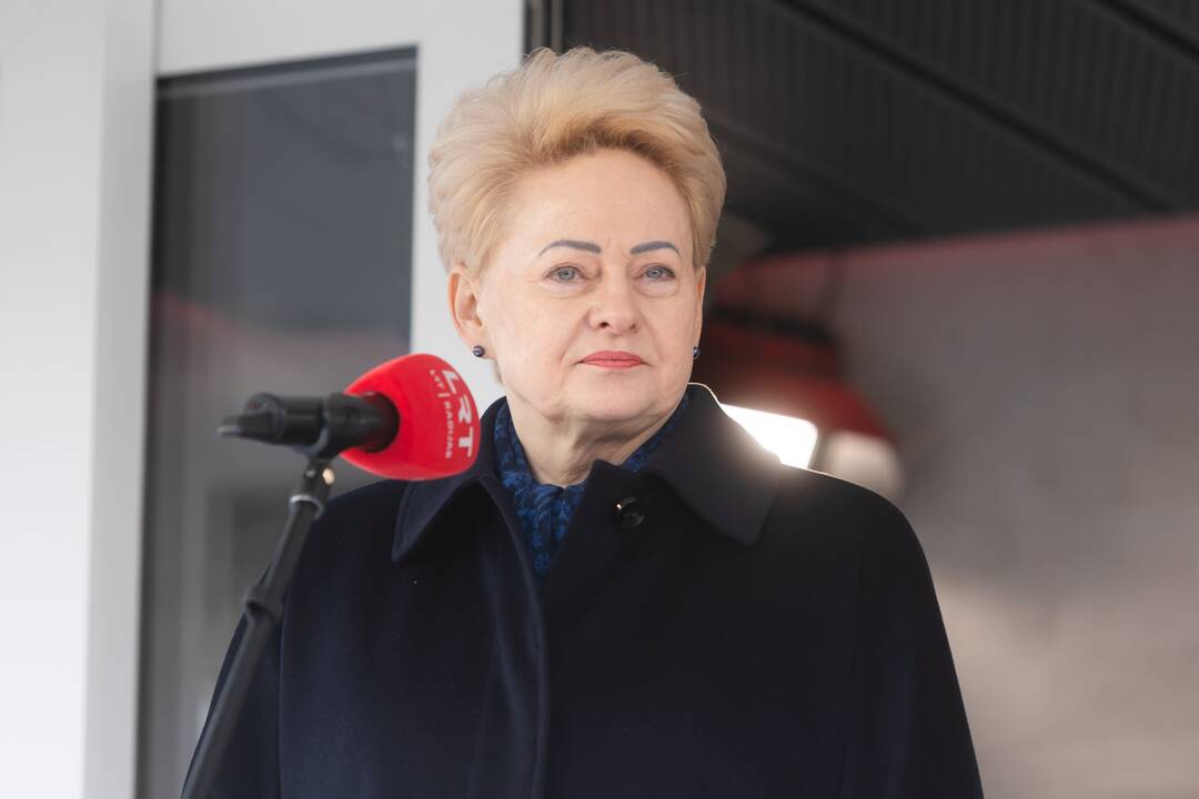 S. Daukanto aikštėje vyko Lietuvos ir NATO vėliavų pakėlimo ceremonija
