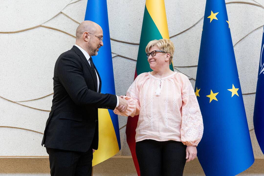 I. Šimonytė susitiko su Ukrainos premjeru D. Šmyhaliu