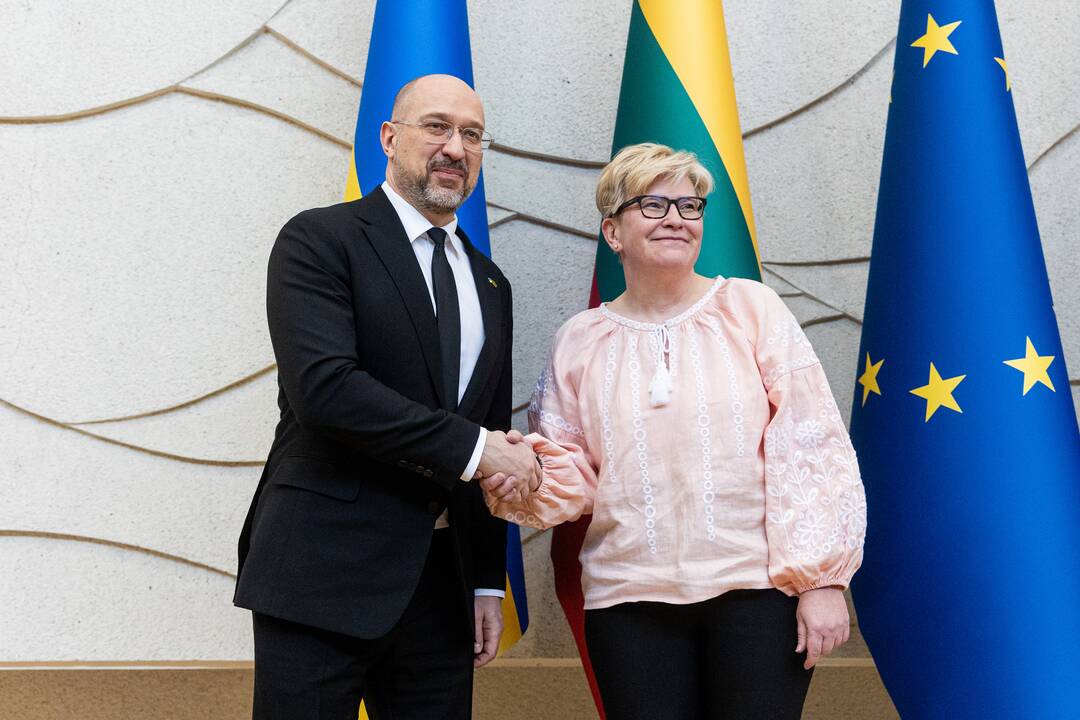 I. Šimonytė susitiko su Ukrainos premjeru D. Šmyhaliu