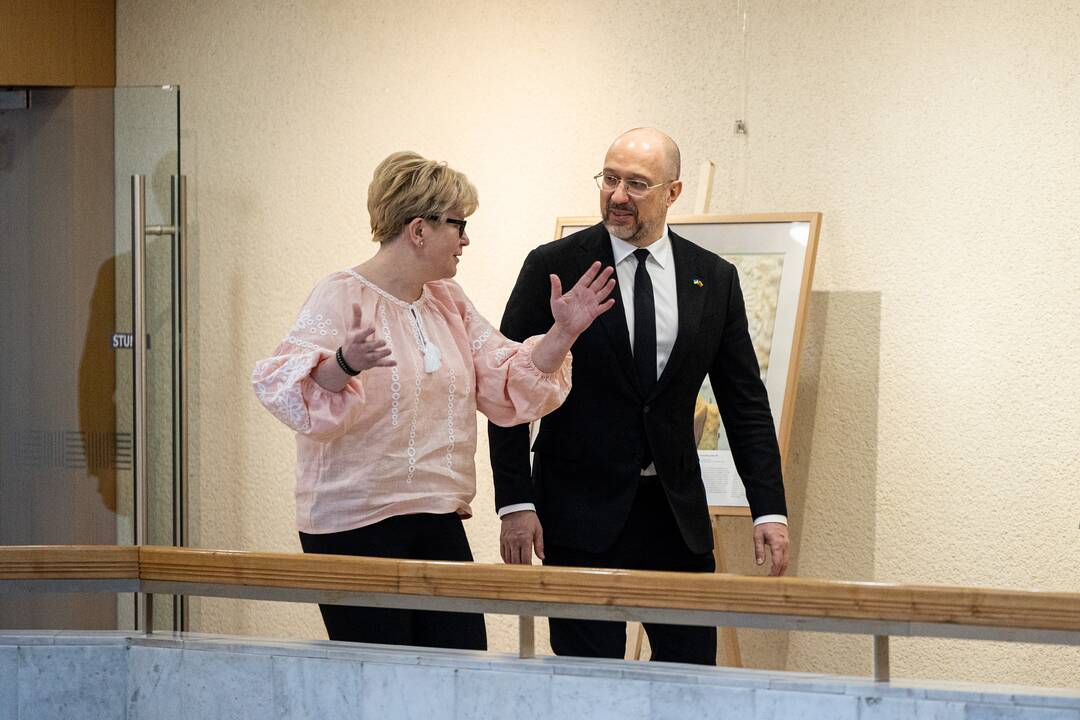 I. Šimonytė susitiko su Ukrainos premjeru D. Šmyhaliu