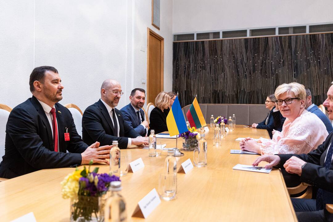 I. Šimonytė susitiko su Ukrainos premjeru D. Šmyhaliu