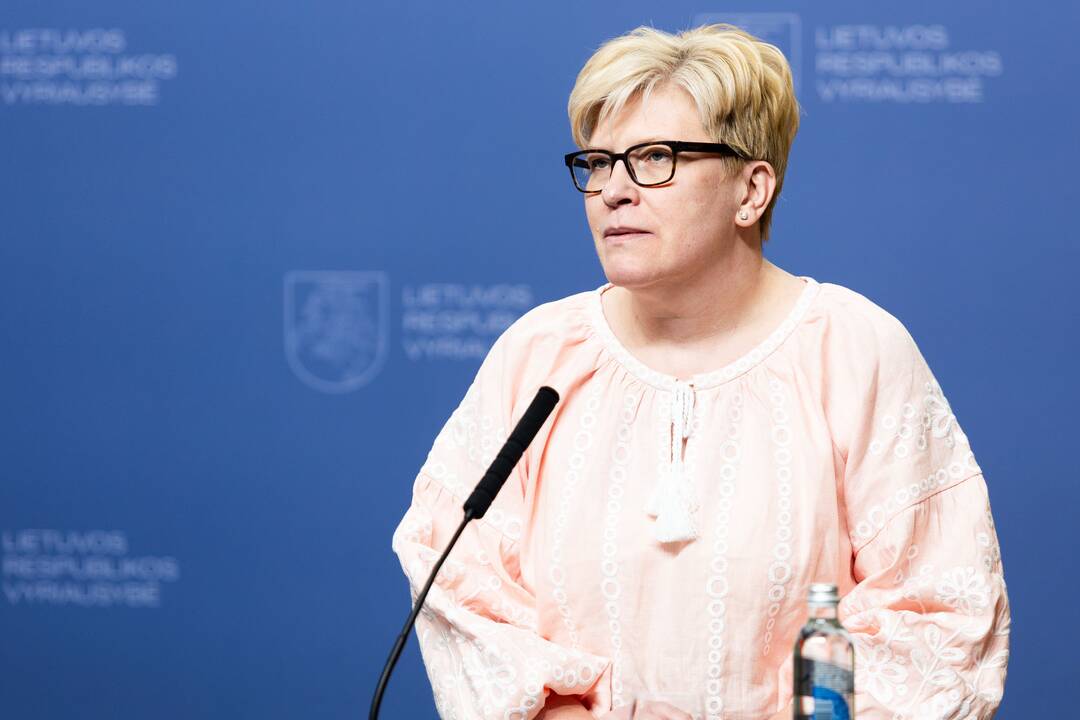 I. Šimonytė susitiko su Ukrainos premjeru D. Šmyhaliu