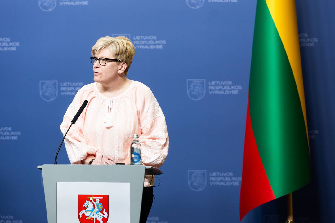 I. Šimonytė susitiko su Ukrainos premjeru D. Šmyhaliu