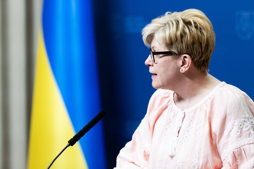 I. Šimonytė susitiko su Ukrainos premjeru D. Šmyhaliu