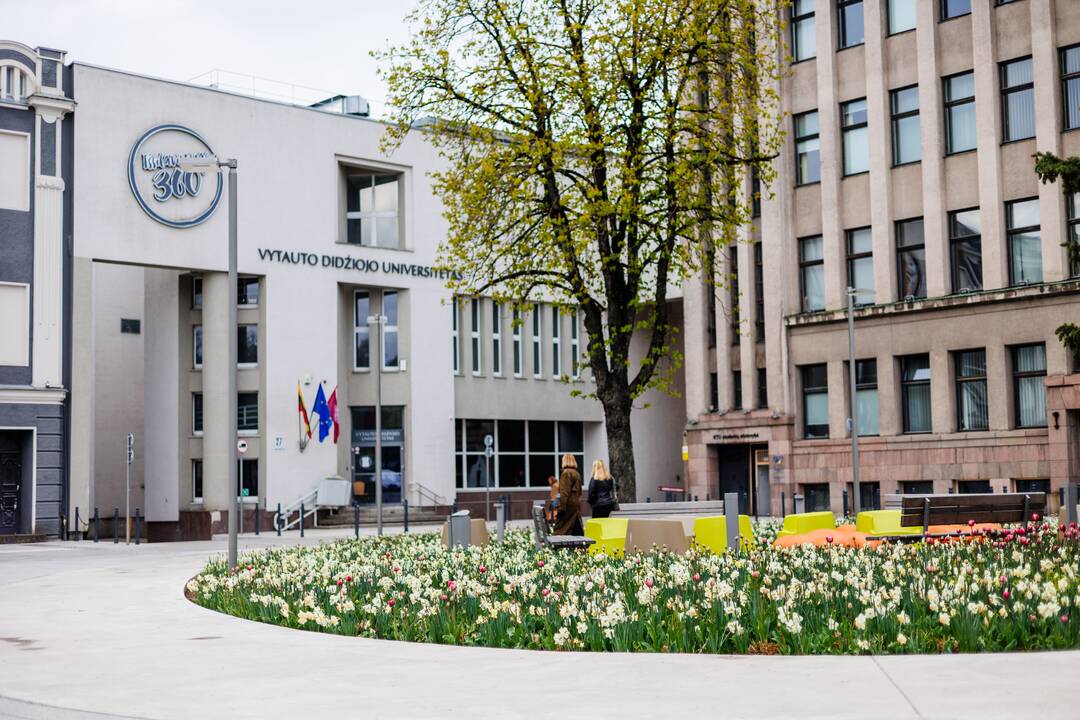 Vytauto Didžiojo universiteto taryba rinks naują rektorių