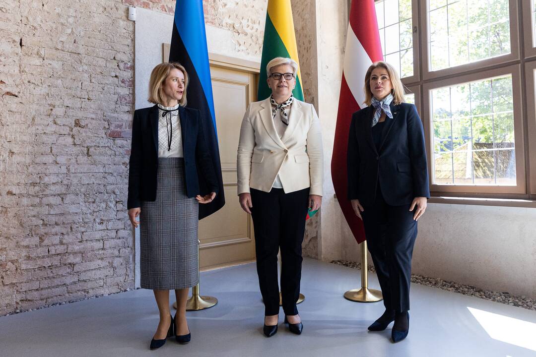 Baltijos Ministrų Tarybos ministrų pirmininkų susitikimas