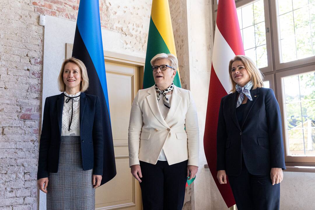 Baltijos Ministrų Tarybos ministrų pirmininkų susitikimas