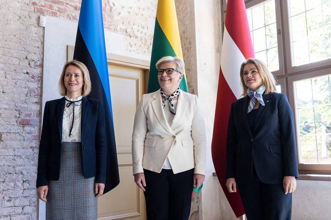 Baltijos Ministrų Tarybos ministrų pirmininkų susitikimas