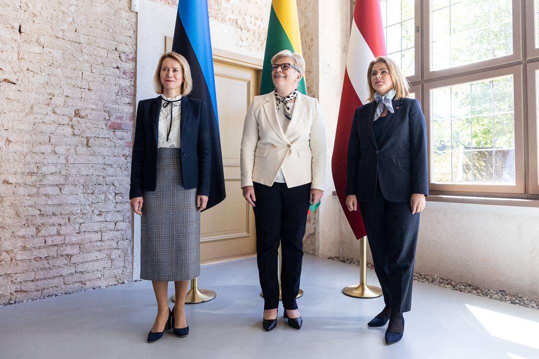 Baltijos Ministrų Tarybos ministrų pirmininkų susitikimas