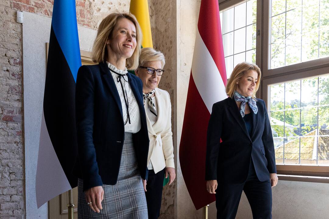 Baltijos Ministrų Tarybos ministrų pirmininkų susitikimas