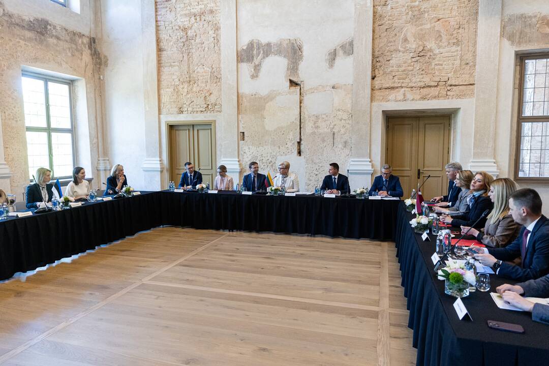 Baltijos Ministrų Tarybos ministrų pirmininkų susitikimas