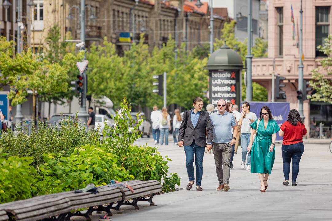 S. Skvernelis balsavo išankstiniuose EP rinkimuose