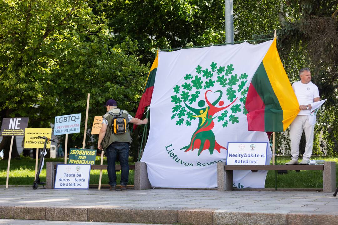 Protestas prieš LGBT eitynes
