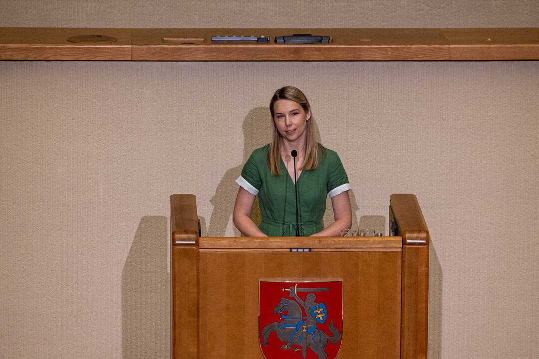 Gedulo ir vilties bei Okupacijos ir genocido dienų minėjimas Seime