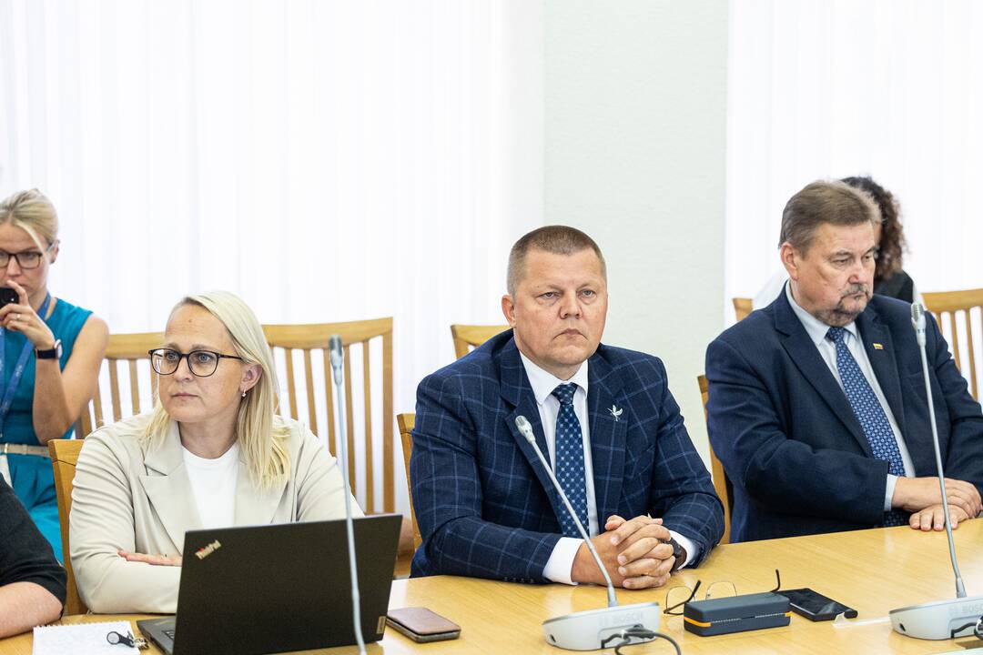 I. Šimonytė susitinka su Seimo frakcijomis