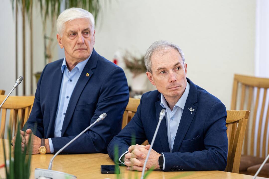 I. Šimonytė susitinka su Seimo frakcijomis