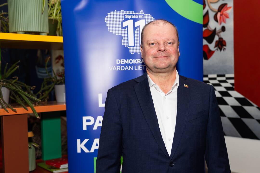 Demokratų sąjunga „Vardan Lietuvos“ laukia Seimo rinkimų rezultatų