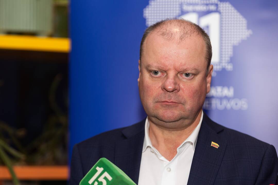Demokratų sąjunga „Vardan Lietuvos“ laukia Seimo rinkimų rezultatų