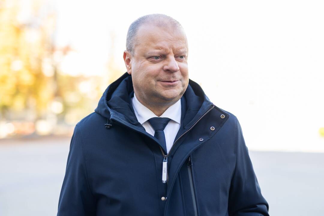 Partijų atstovai susitiko su prezidentu