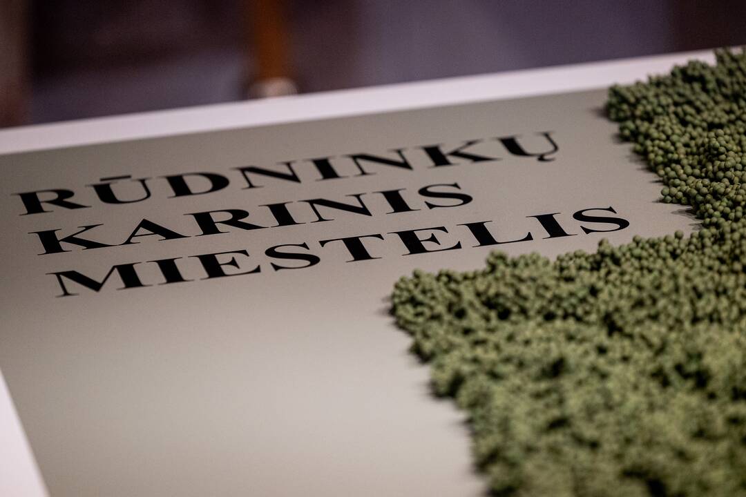 Vystomo Rūdninkų karinio miestelio pristatymas