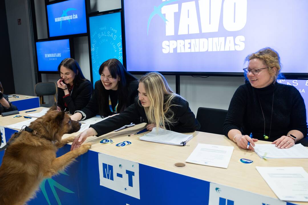 Konservatorių partijos pirmininko rinkimai