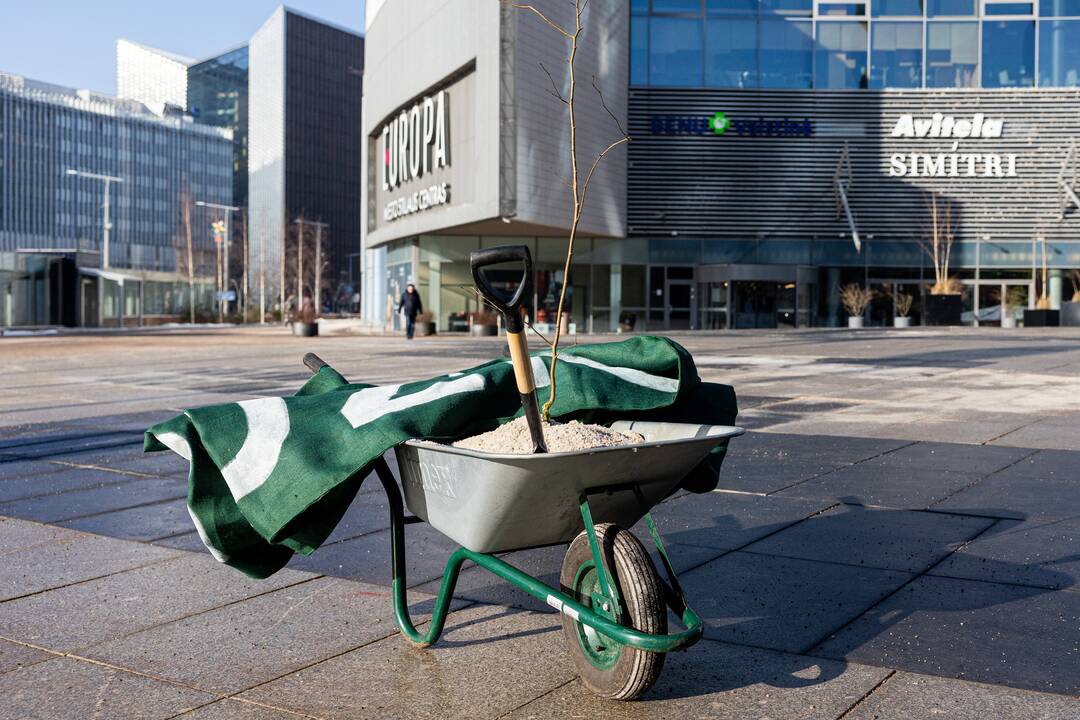 Protestas dėl perteklinio druskos naudojimo prižiūrint gatves
