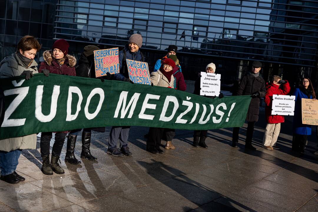 Protestas dėl perteklinio druskos naudojimo prižiūrint gatves