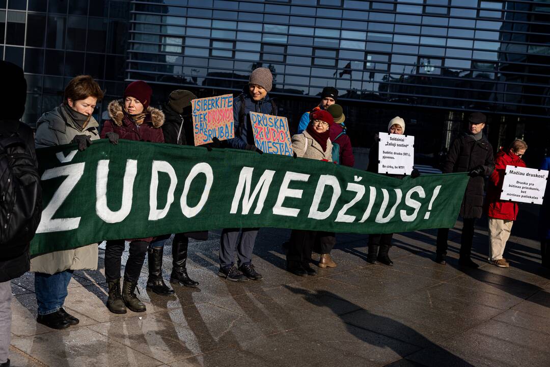 Protestas dėl perteklinio druskos naudojimo prižiūrint gatves