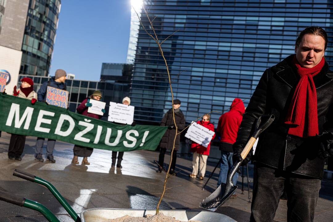 Protestas dėl perteklinio druskos naudojimo prižiūrint gatves