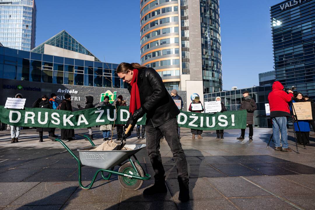 Protestas dėl perteklinio druskos naudojimo prižiūrint gatves