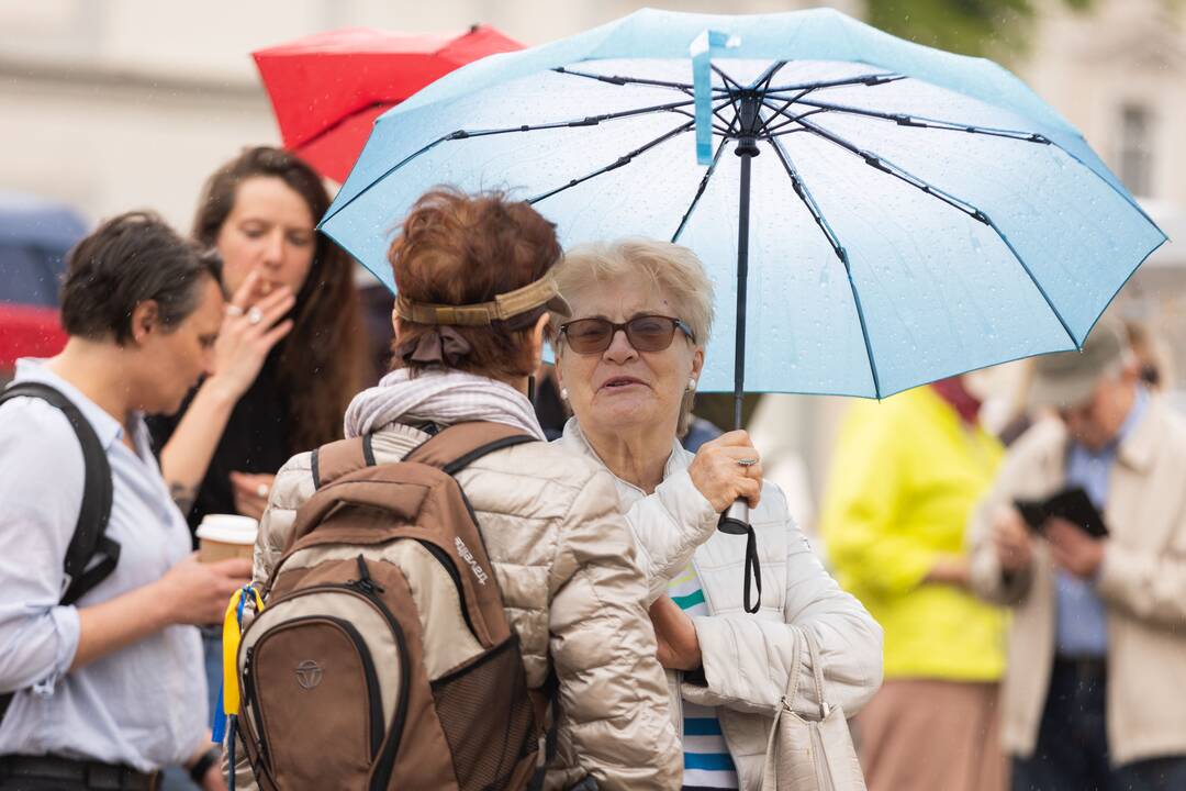 Akcija, kurioje poetai ir visi norintys skaito savo bei S. Nėries eiles