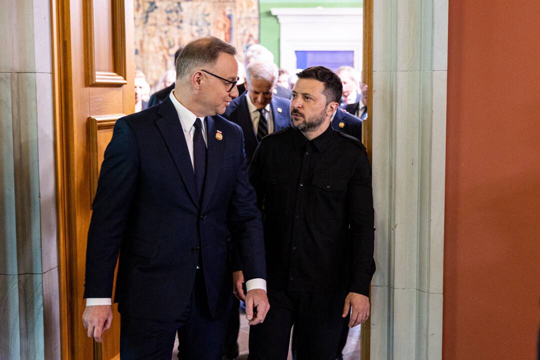 Bukarešto devintuko ir Šiaurės šalių vadovų susitikimas
