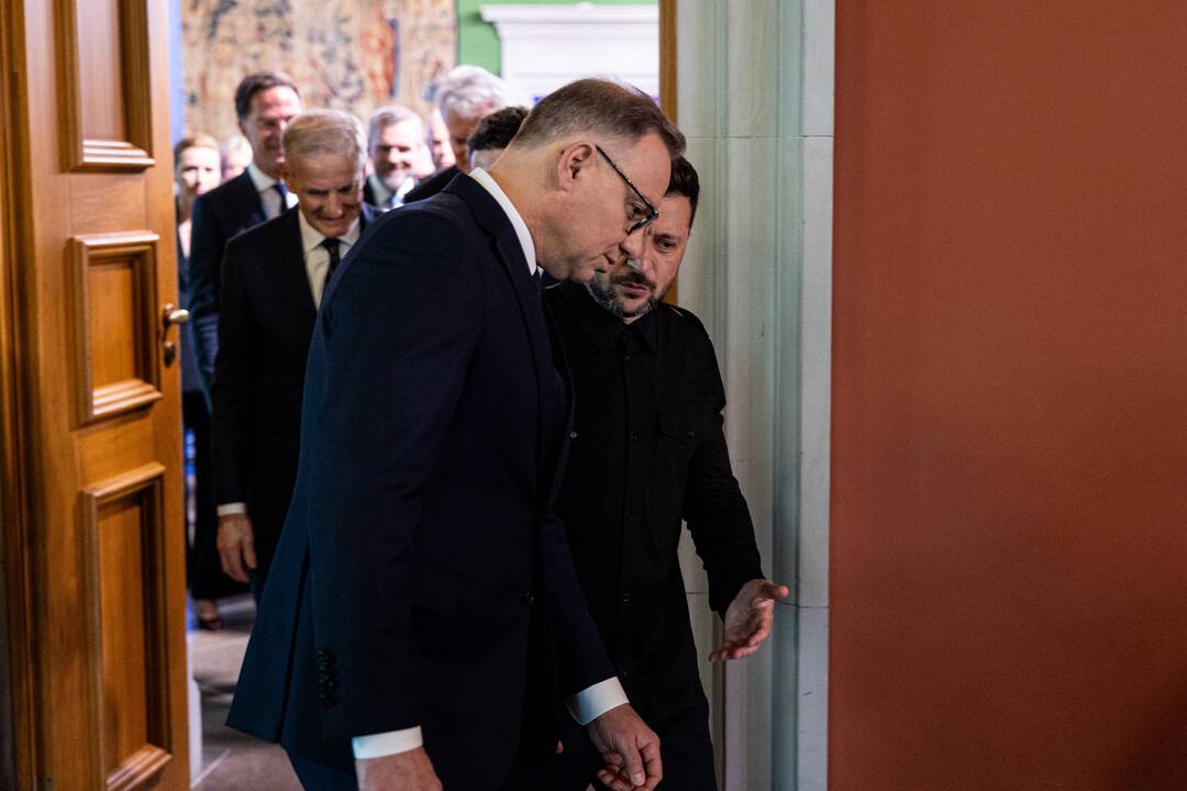 Bukarešto devintuko ir Šiaurės šalių vadovų susitikimas