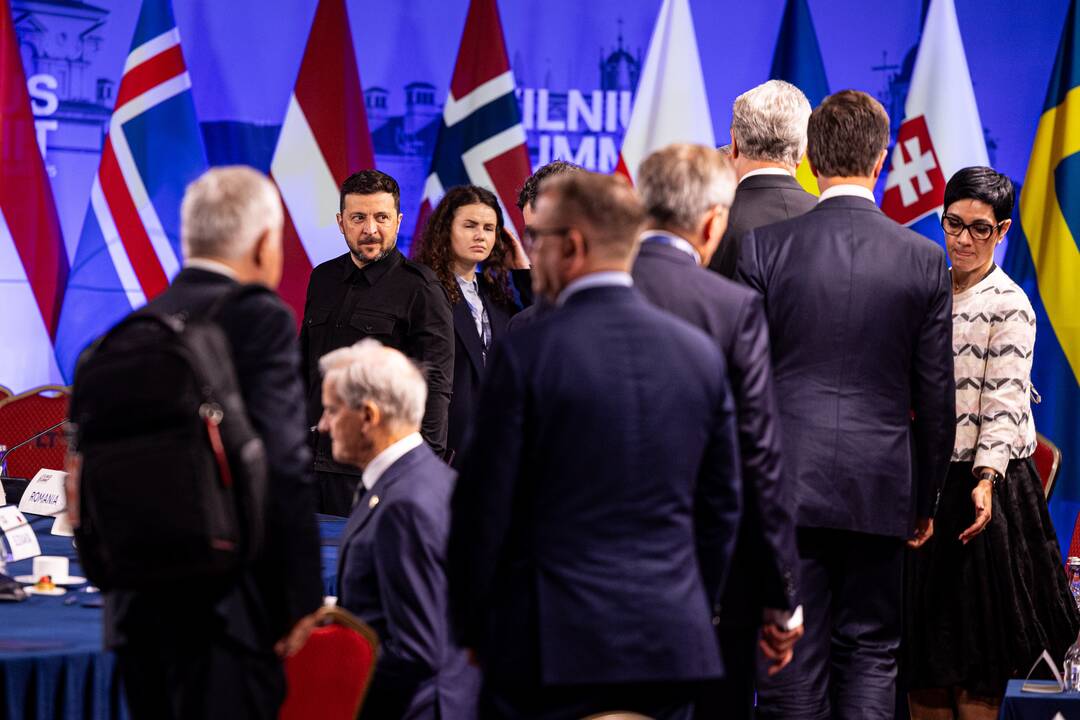 Bukarešto devintuko ir Šiaurės šalių vadovų susitikimas