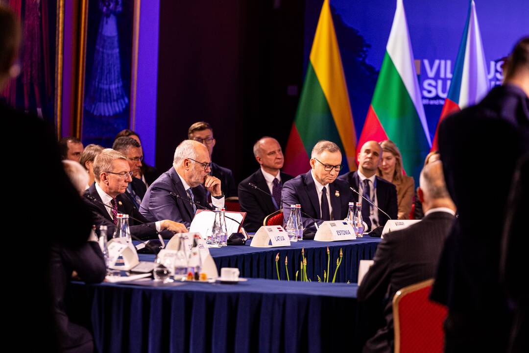 Bukarešto devintuko ir Šiaurės šalių vadovų susitikimas