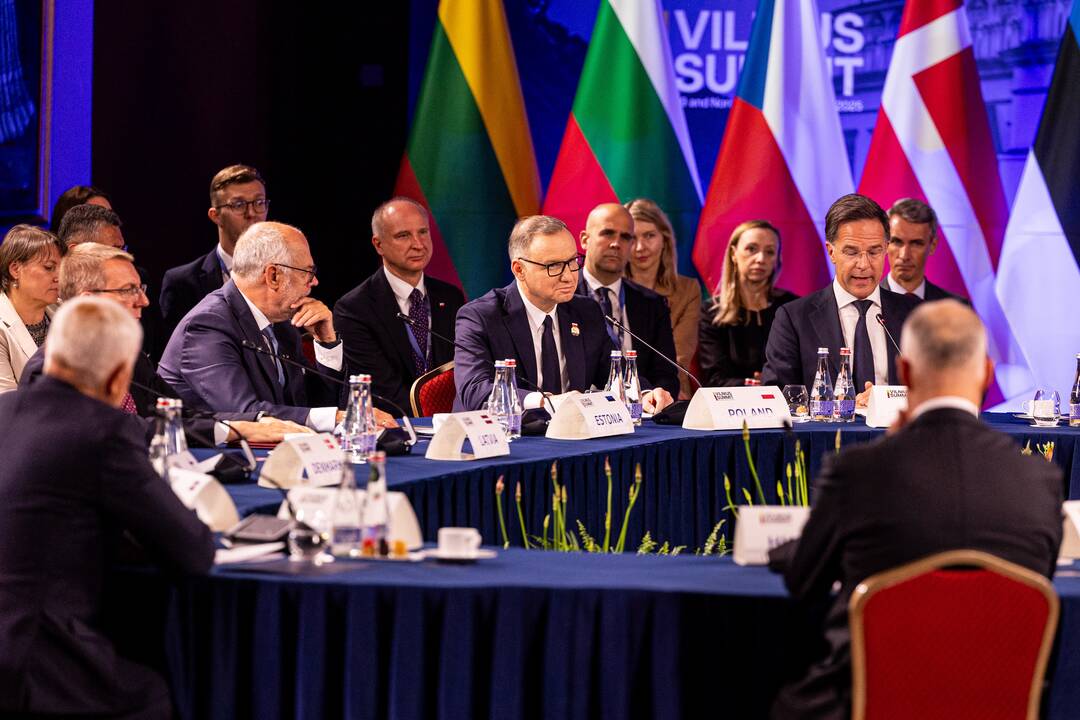 Bukarešto devintuko ir Šiaurės šalių vadovų susitikimas