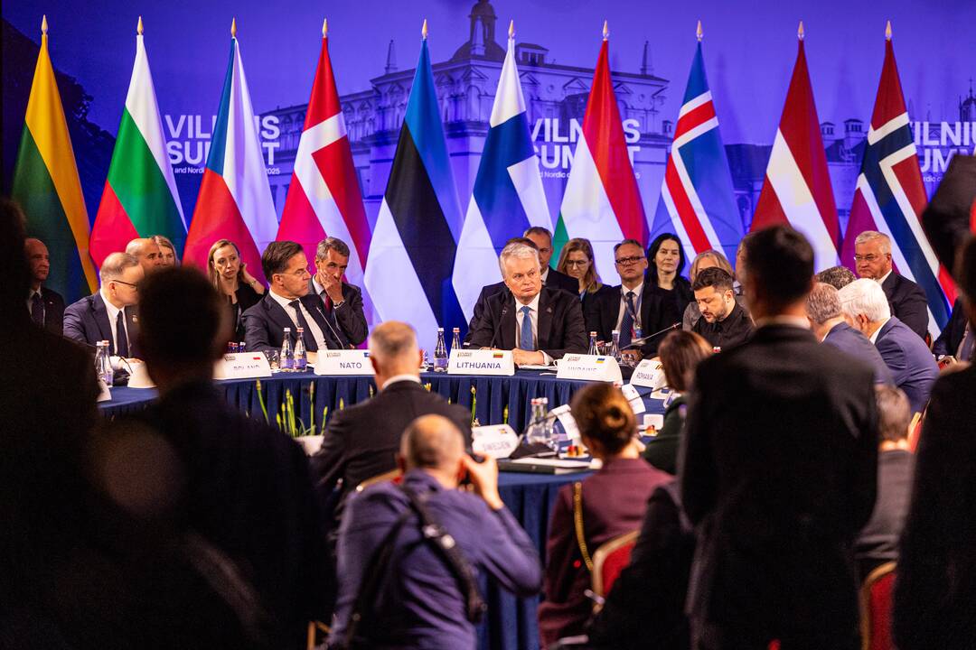 Bukarešto devintuko ir Šiaurės šalių vadovų susitikimas
