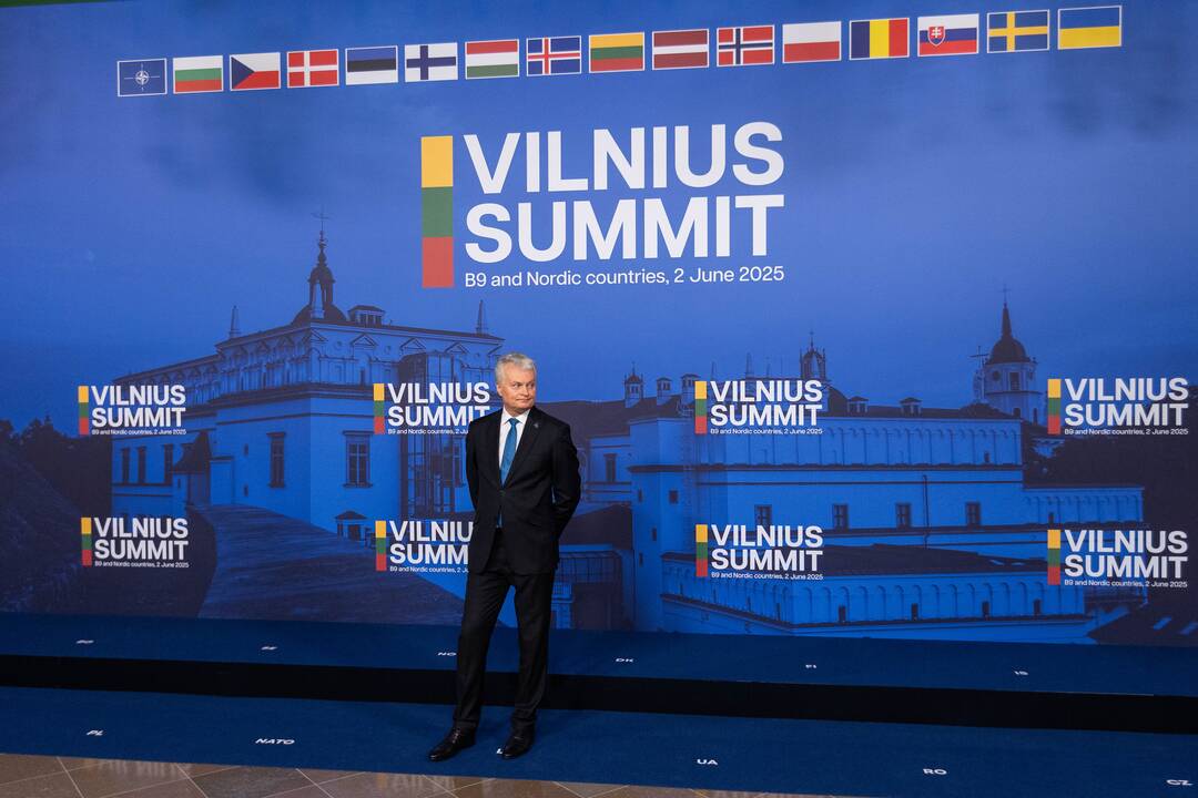 Bukarešto devintuko ir Šiaurės šalių vadovų susitikimas