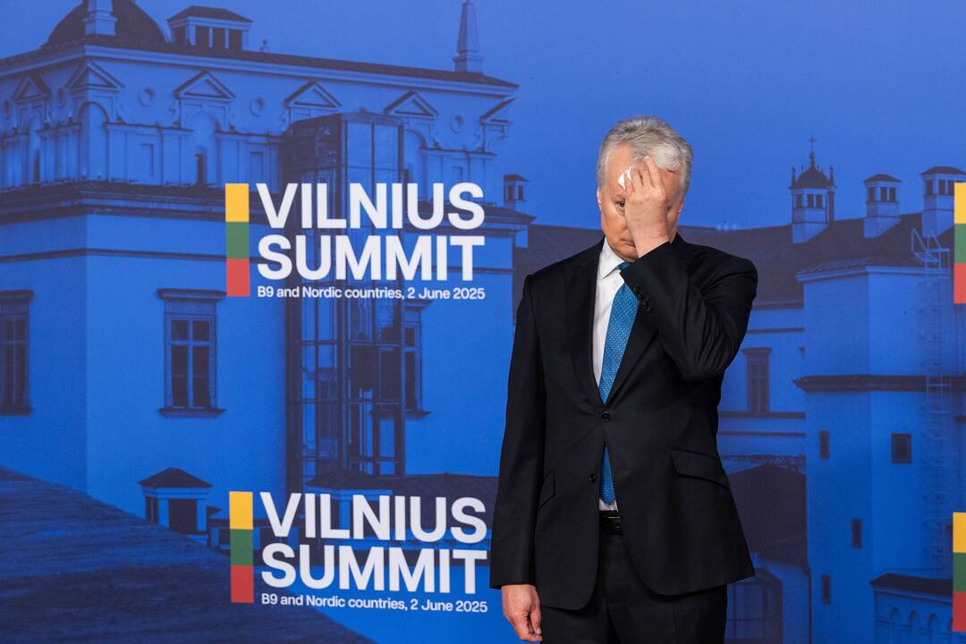 Bukarešto devintuko ir Šiaurės šalių vadovų susitikimas