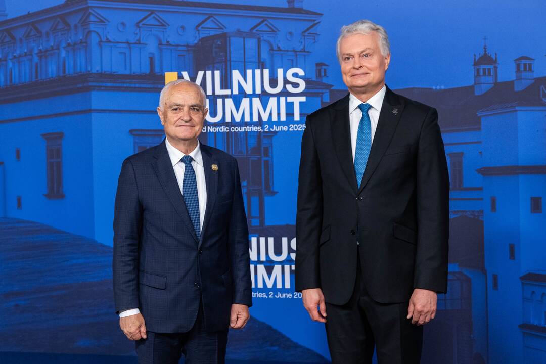 Bukarešto devintuko ir Šiaurės šalių vadovų susitikimas