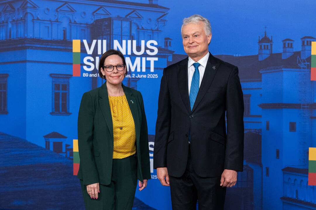 Bukarešto devintuko ir Šiaurės šalių vadovų susitikimas