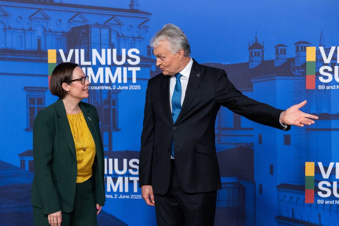 Bukarešto devintuko ir Šiaurės šalių vadovų susitikimas
